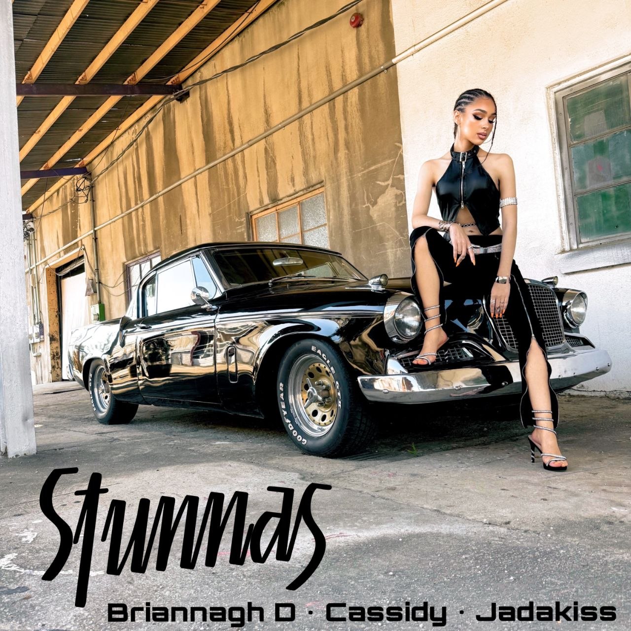 Briannagh D Stunnas cover art